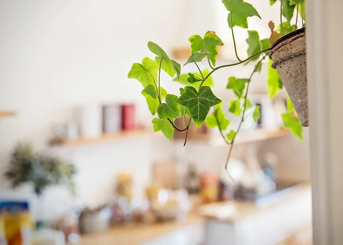 Konukevi Parco Di Nerone Roma