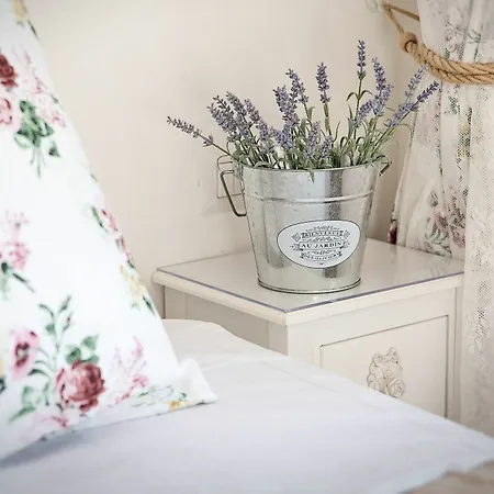 招待所 Parco Di Nerone 罗马