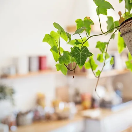 招待所 Parco Di Nerone 罗马